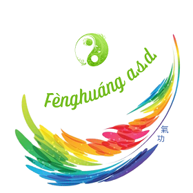 Fenguang Associazione Sportiva Dilettantistica